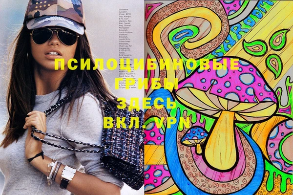 а пвп мука Корсаков